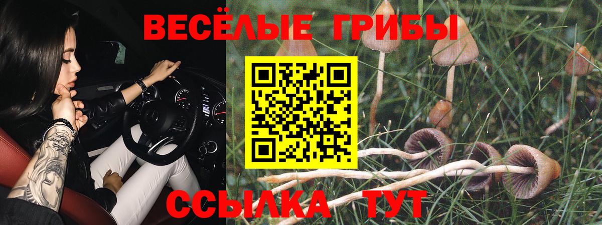 где продают наркотики  Галлюциногенные грибы MAGIC MUSHROOMS  Архангельск  Вход с VPN  Галлюциногенные грибы мицелий 