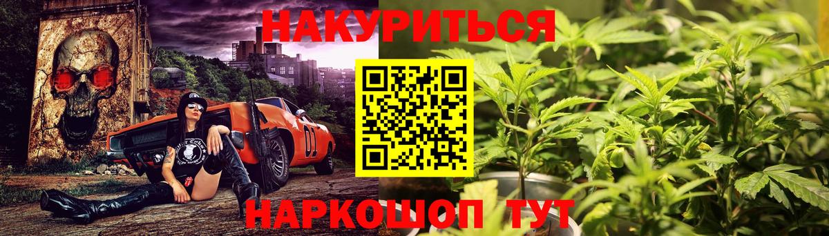 Канабис сатива Архангельск